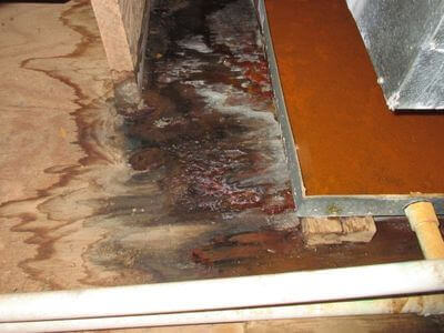 About Water Damage Restoration Calera - water damage restoration experts in Calera